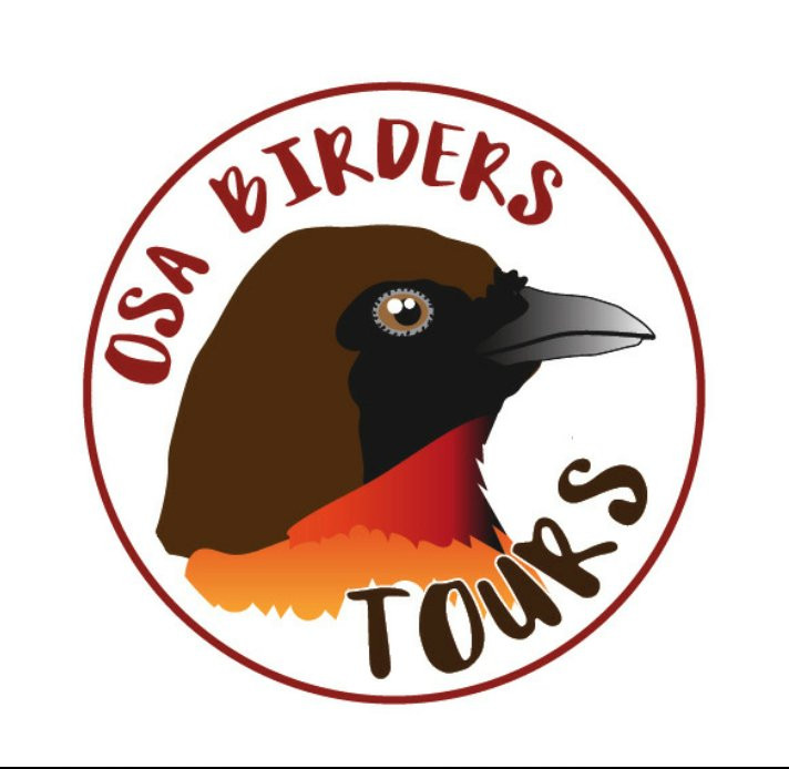 Osa Birders Tours景点图片