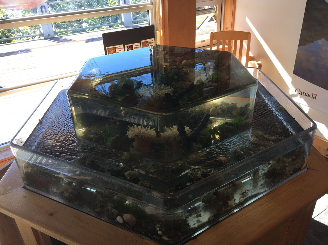 Daajing Giids Visitor Centre-Daajing Giids必去景点