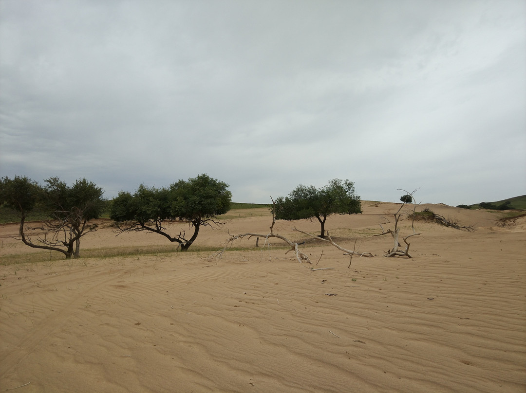 金莲川草原-正蓝旗必去景点
