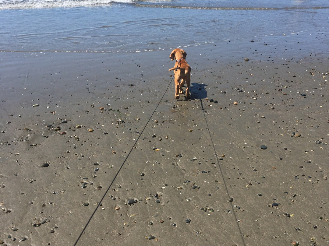 Whiskey Run Beach-班登必去景点
