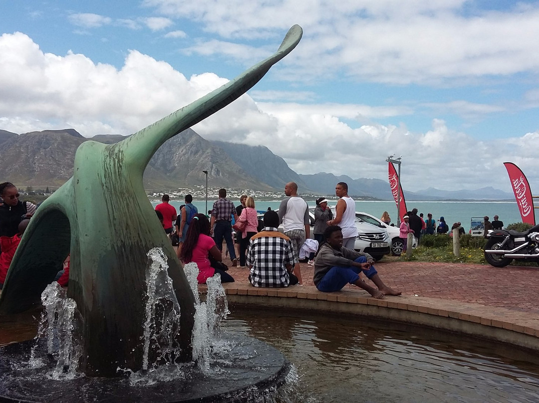The Whale House Museum-赫曼努斯必去景点