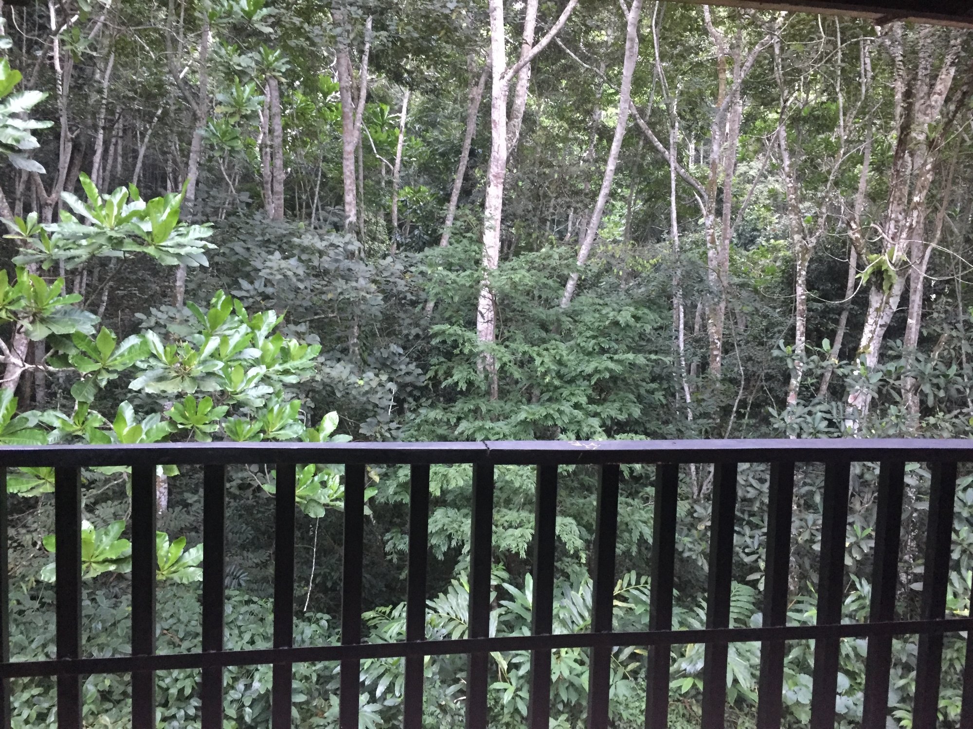 Amani Rest House-酒店景观