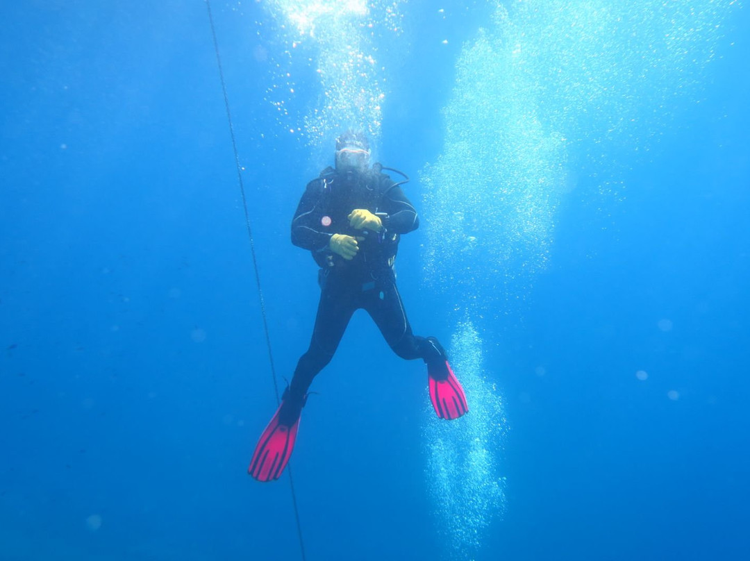 Elba Divers Naregno景点图片