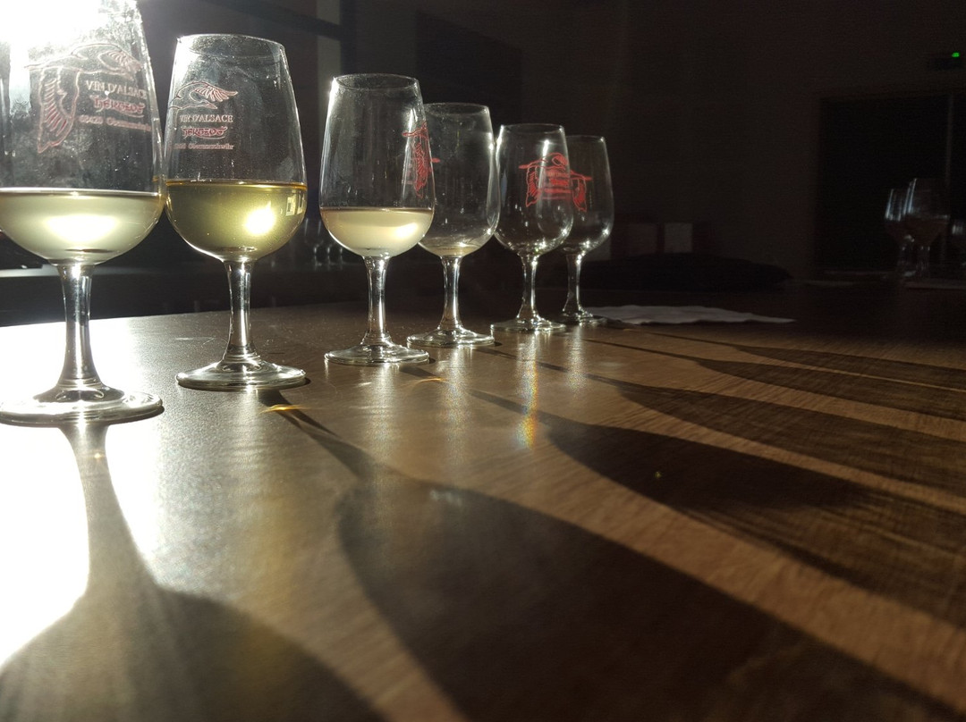 Domaine Hertzog-Herrlisheim-pres-Colmar必去景点