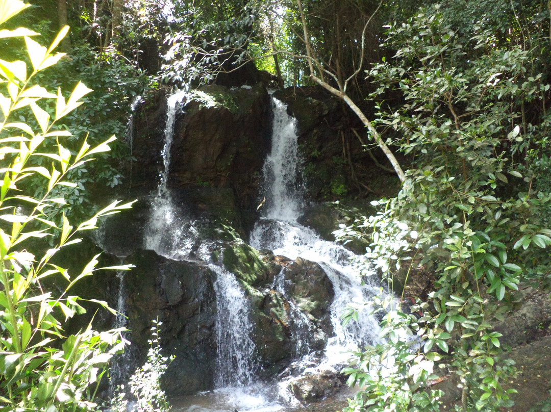 Adyar Waterfalls景点图片