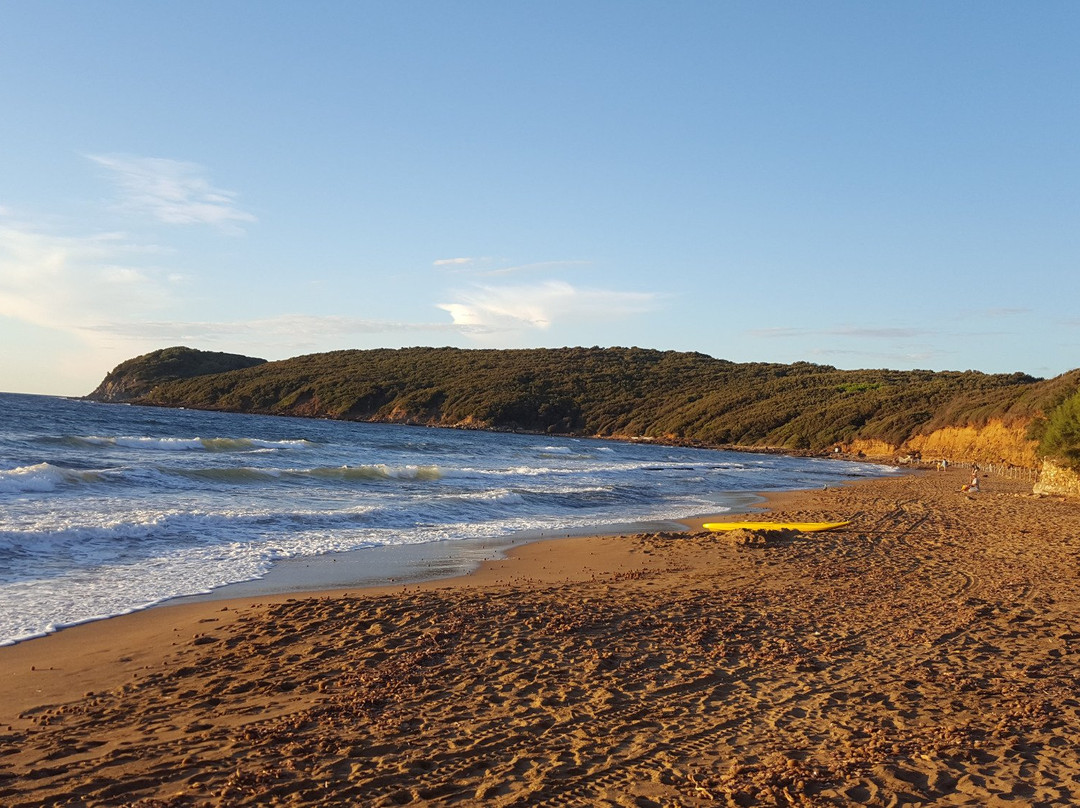 Spiaggia di Baratti景点图片