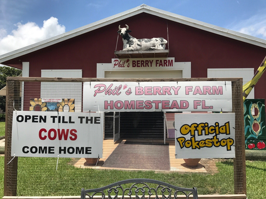 Phil's Berry Farm-迈阿密必去景点