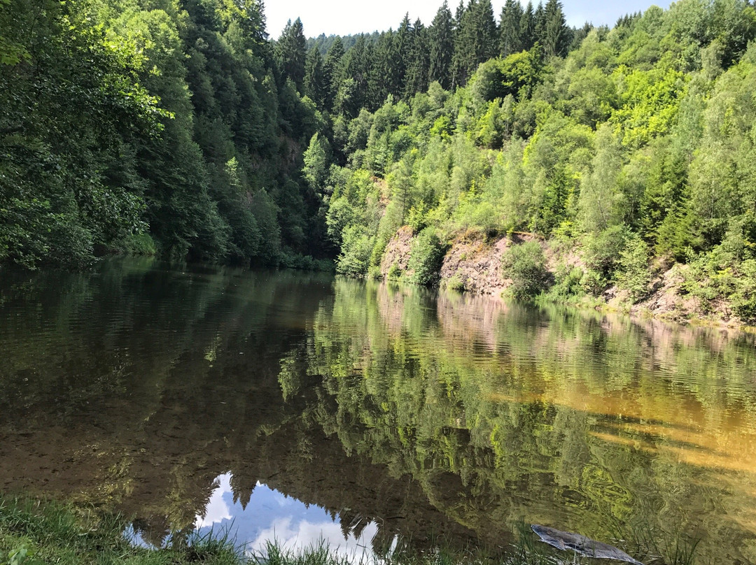 Schenkenzell旅游攻略图片