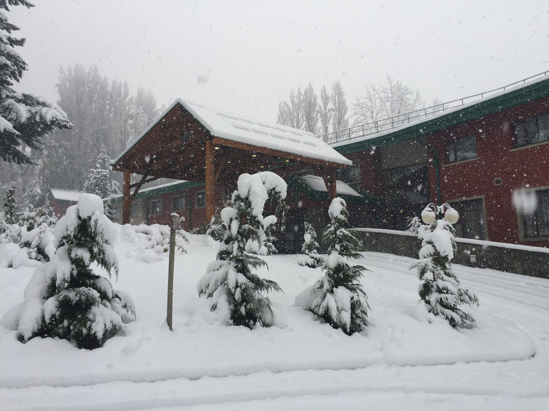 Diego de Almagro Coyhaique