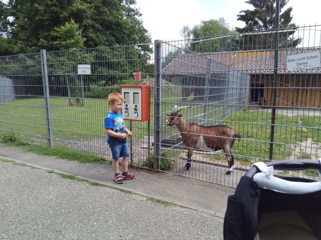 Tierpark Rauenberg景点图片