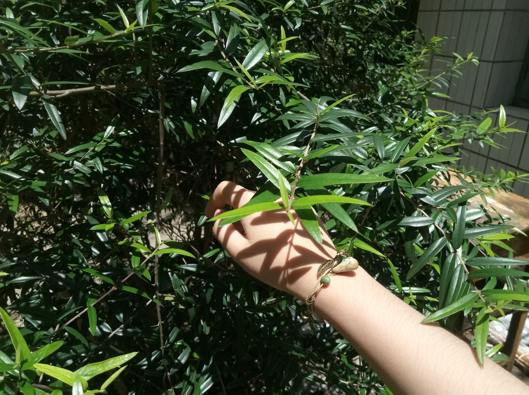 冯子材故居景点图片