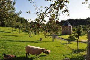 Ferme Pédagogique d'Epaville景点图片