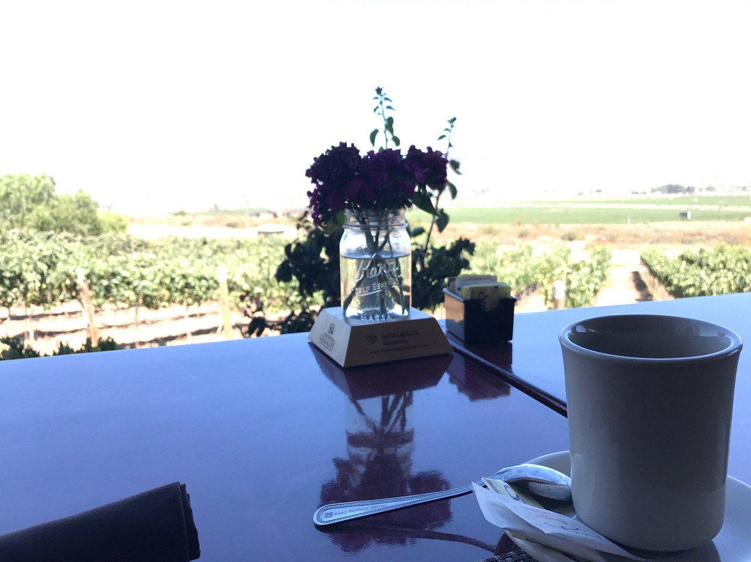 Xplorabaja-罗萨里多必去景点