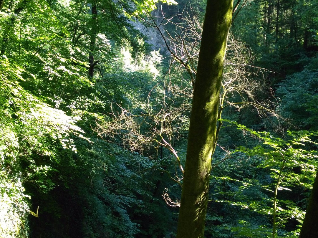 Schluchtenweg Sevelen-Sevelen必去景点