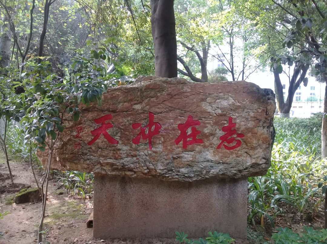 韶关中山公园景点图片