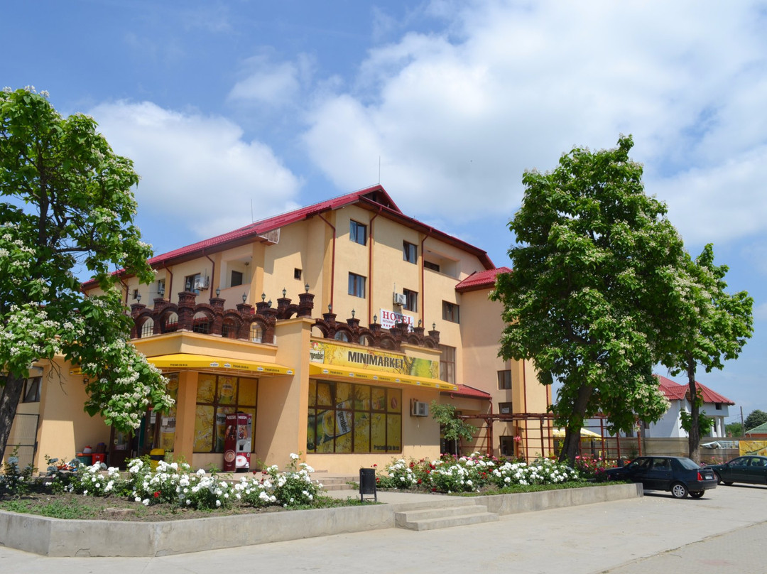 Hotel Tata Si Fii