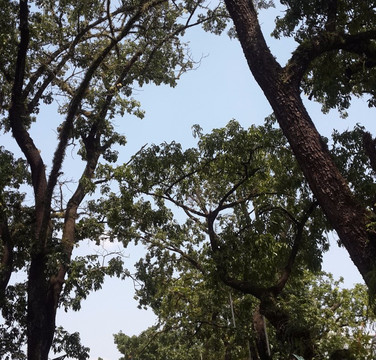 Teras Cihampelas-万隆必去景点