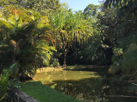 Parque do Basalto-Araraquara必去景点