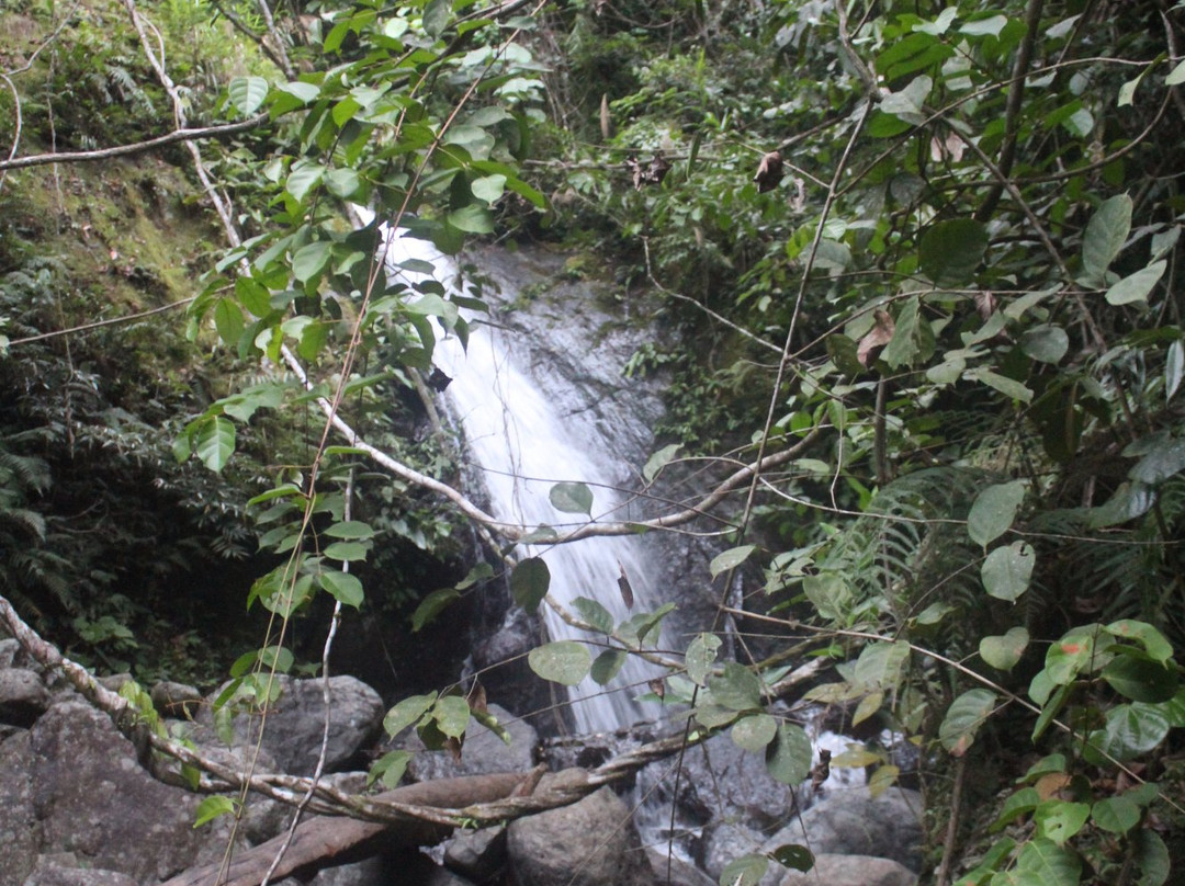 Cabacan Falls-Adams必去景点