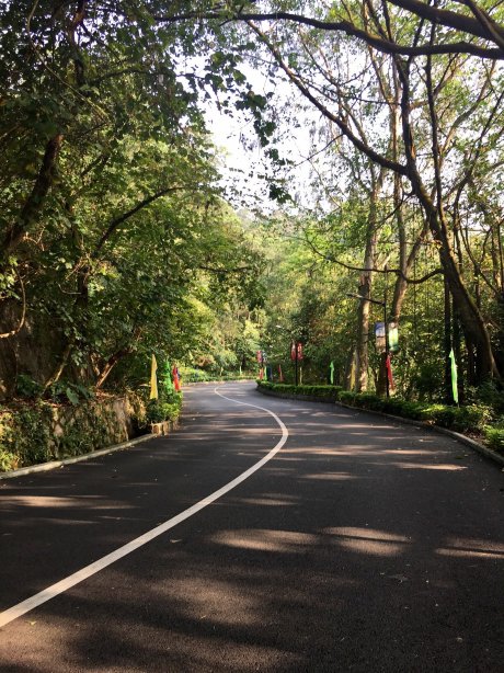 怡景假日酒店-官方