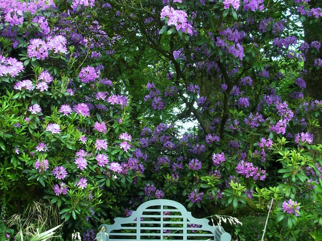 The Ridges Gardens-乔利必去景点
