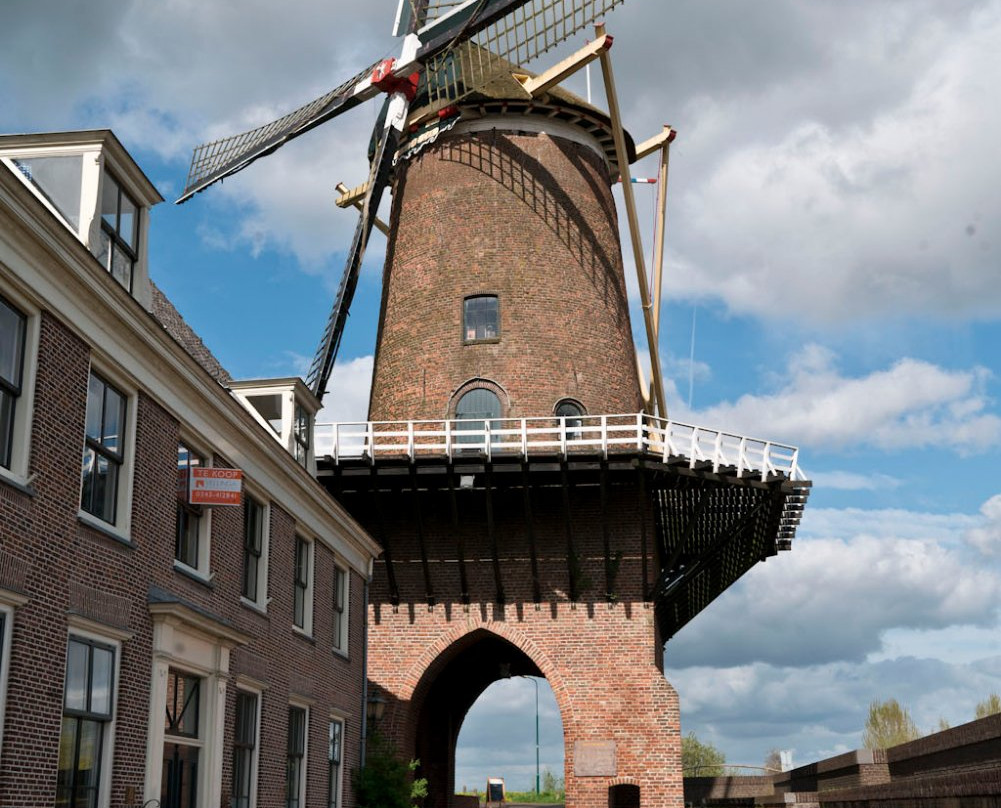 Rijn en Lek Windmill-Wijk bij Duurstede必去景点