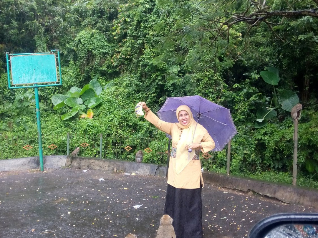 Plangon Monkey Forest and Tombs景点图片