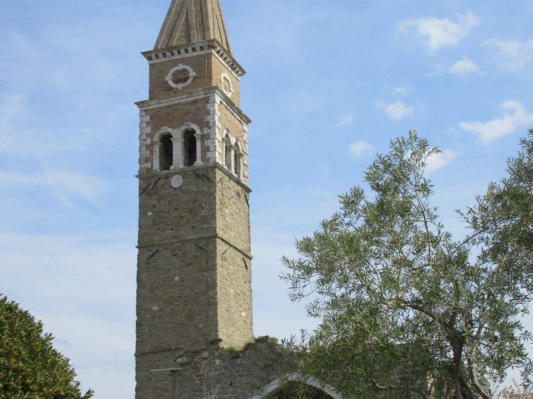Church of St. Bernardine景点图片