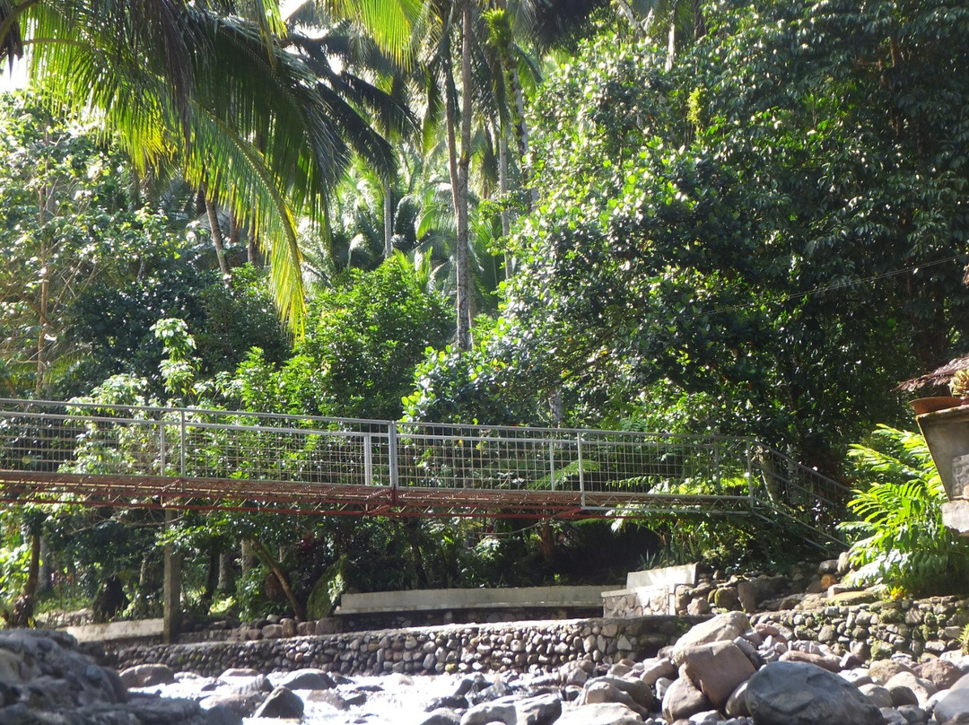 Castanas Spring Resort-Abuyog必去景点