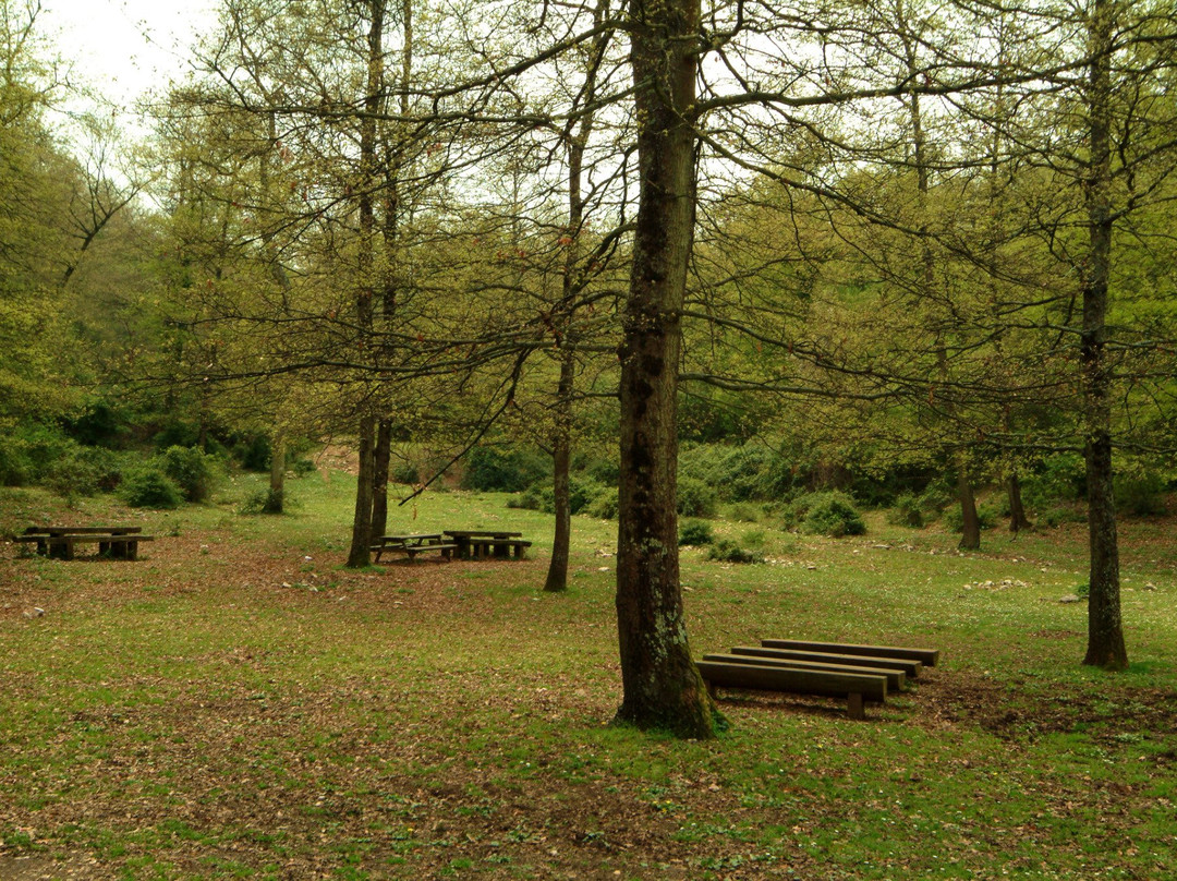Riserva Naturale Monte Catillo-蒂沃利必去景点