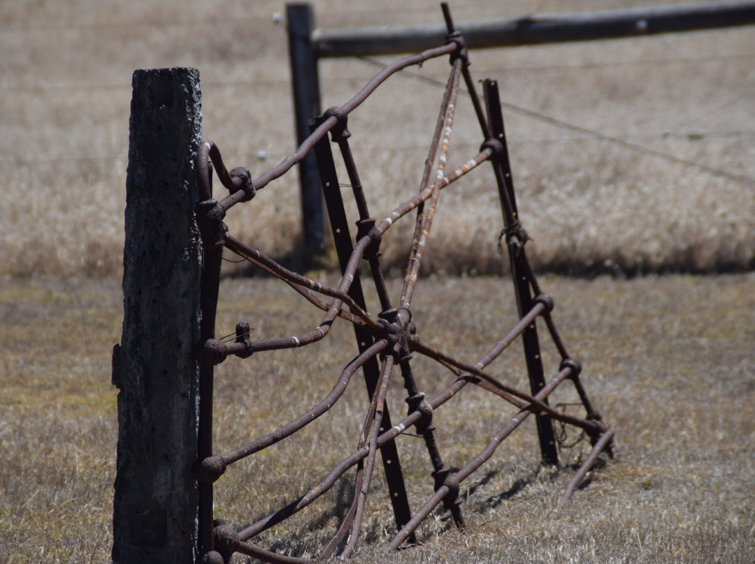 Basham's Beach Regional Park-Middleton必去景点