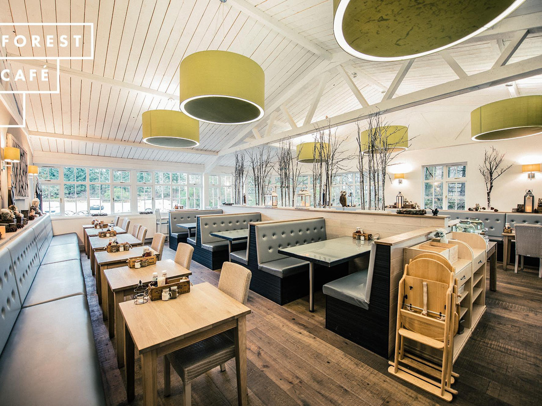 Dunecht餐馆和美食-Forest Cafe