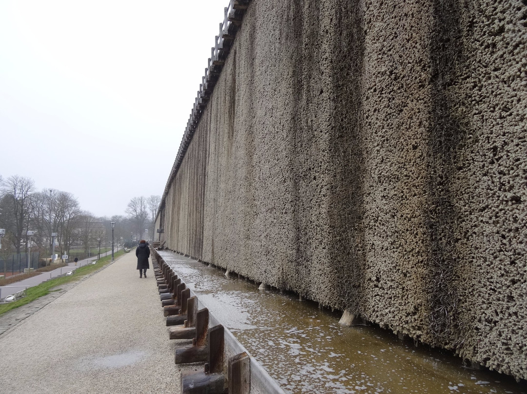 Bad Rothenfelde旅游攻略图片