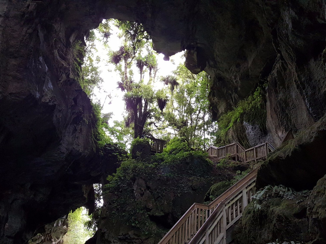 Mangapohue Natural Bridge Walk景点图片