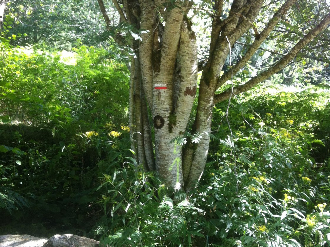 L'Ecrin de Brierat-Saint-Priest-la-Prugne必去景点