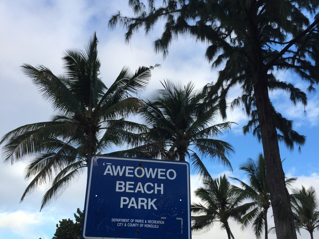 Aweoweo Beach Park-瓦亚禄必去景点