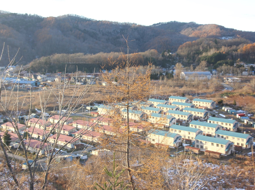 Shimizusawa Mt. Zuri-夕张市必去景点