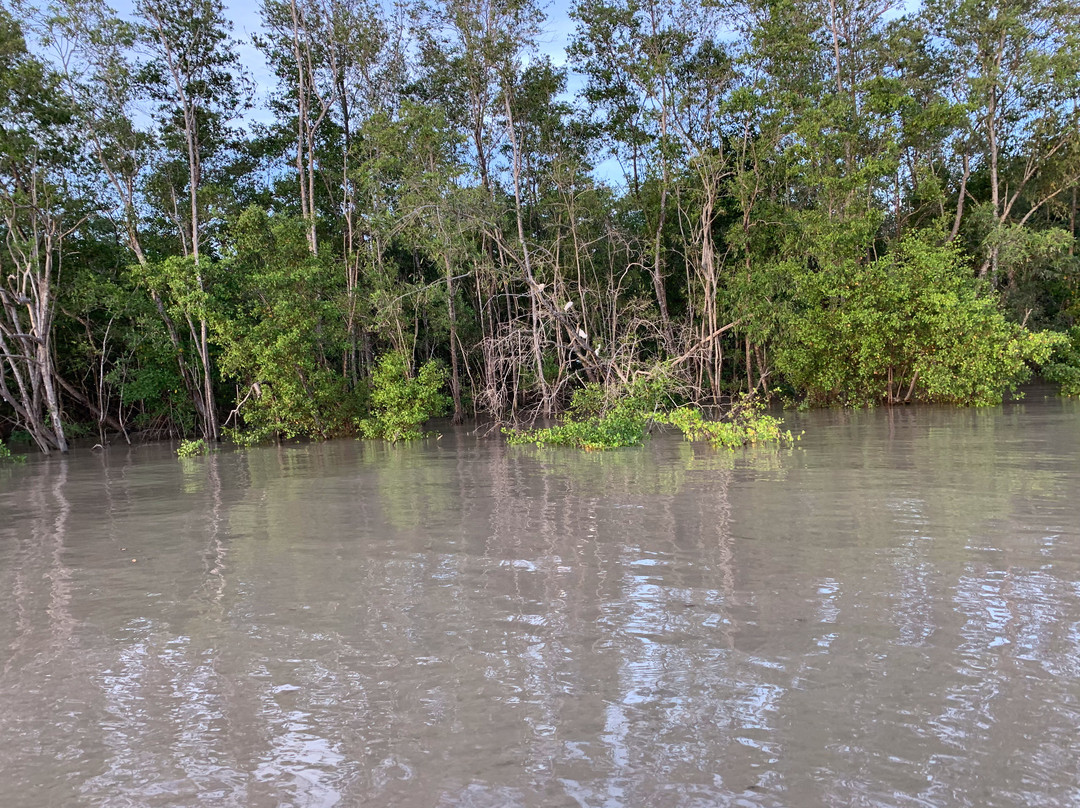 2025年1月Commewijne River景点攻略-Commewijne River门票预订|地址|图片-Commewijne River ...