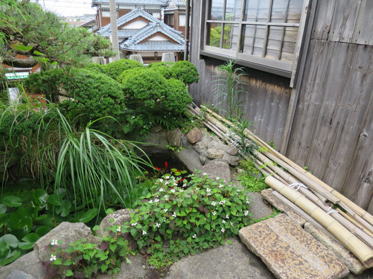 Kyu Tsukigata Station-新泻市必去景点