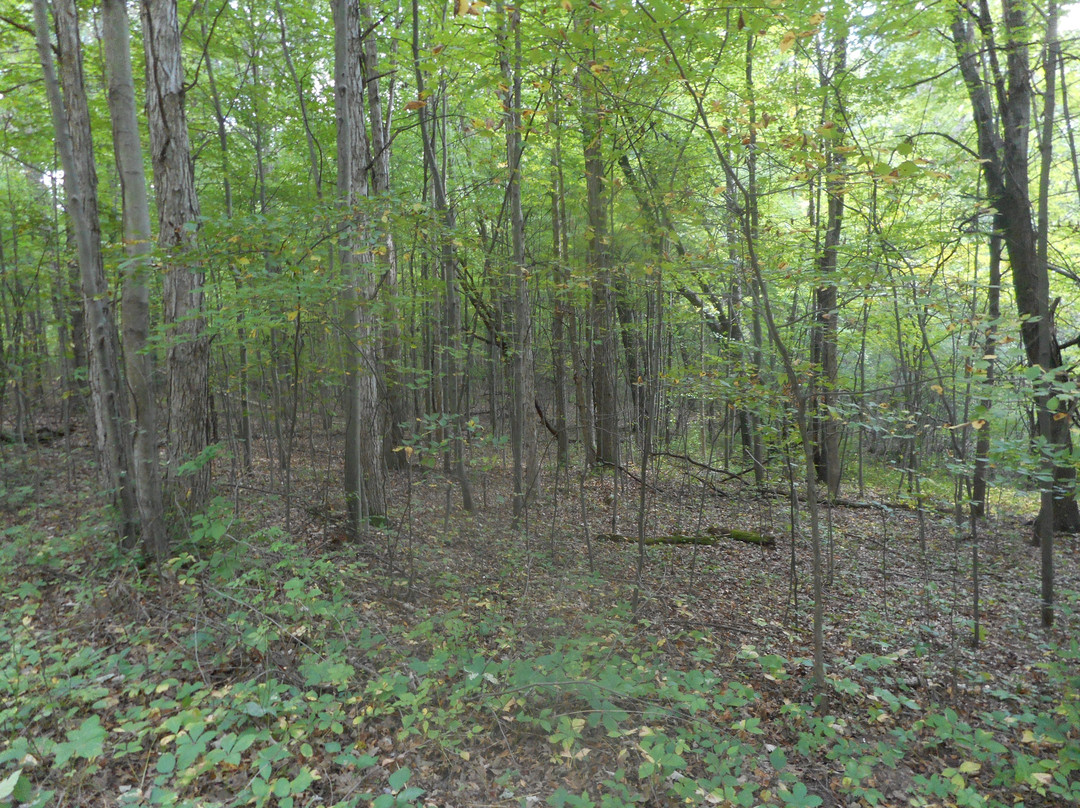 Brighton Recreation Area-Howell必去景点