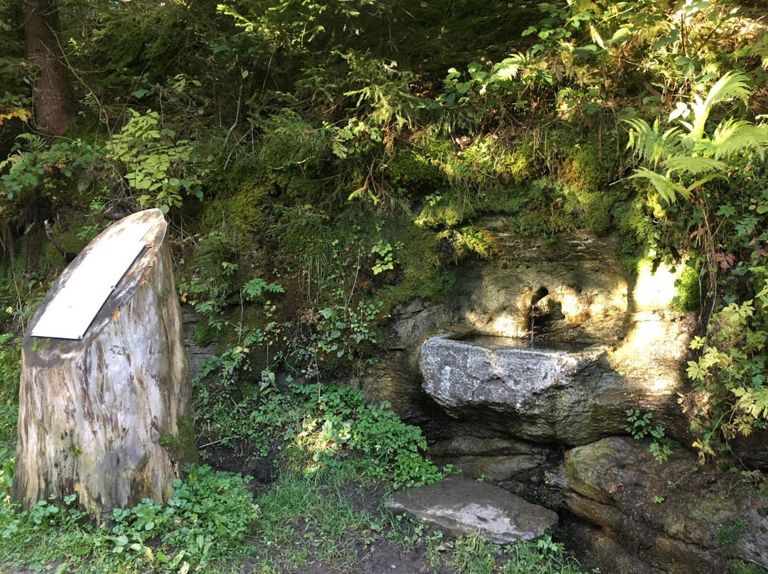Le Chemin des Fontaines des Bois du Jorat-洛桑必去景点