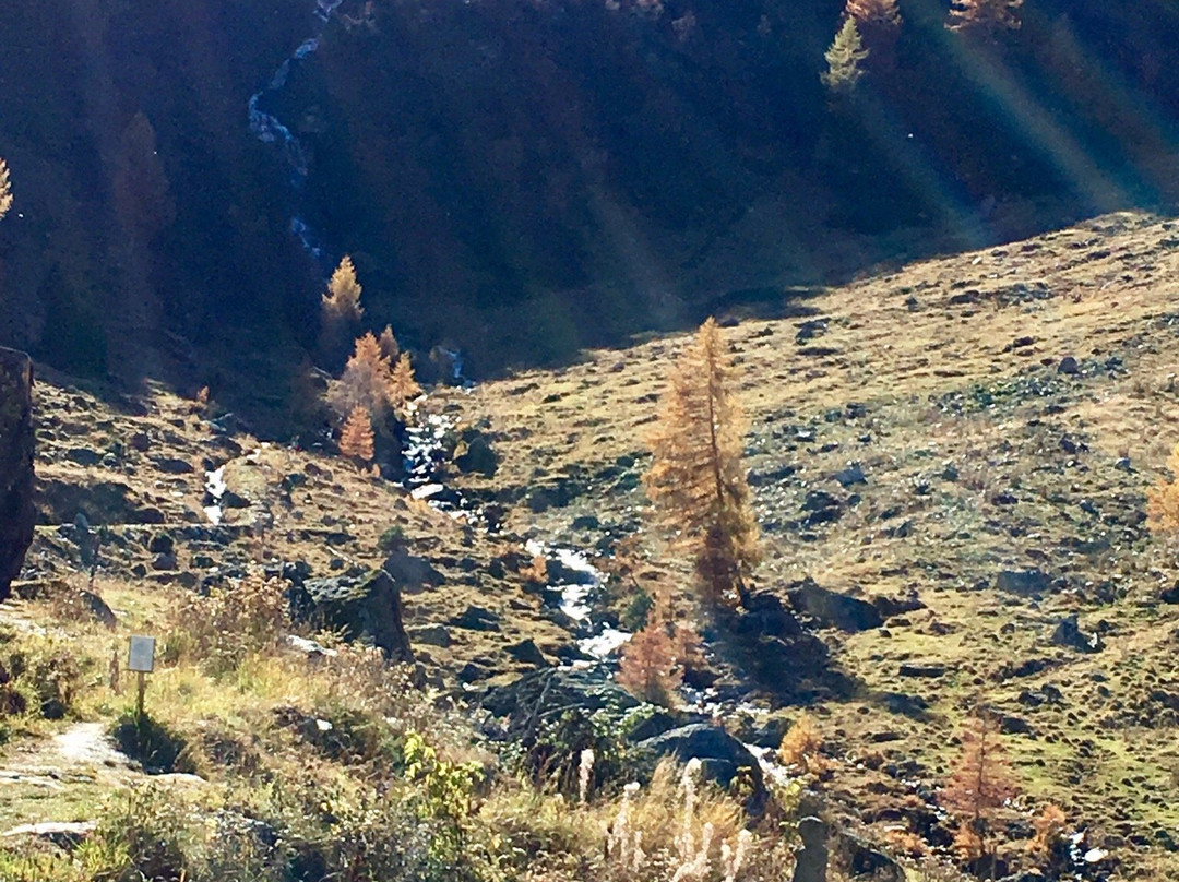 Grand Bisse de Vercorin-Vercorin必去景点