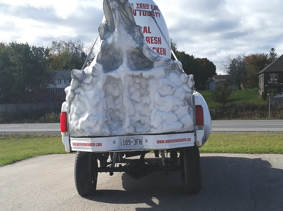 White Feather Country Store-奥沙瓦必去景点