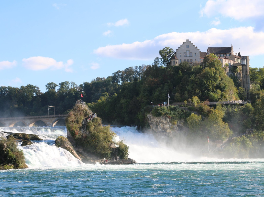 Rhine Falls景点图片