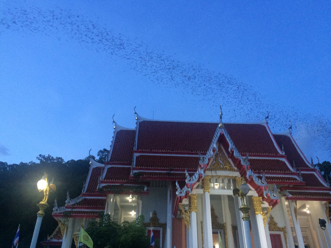 Bat Cave at Wat Khao Chong Pran景点图片