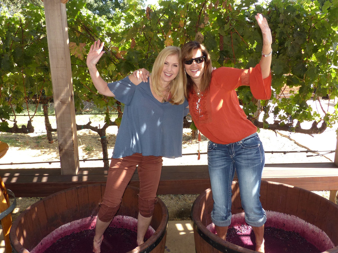 Flex Wine Tours-纳帕必去景点