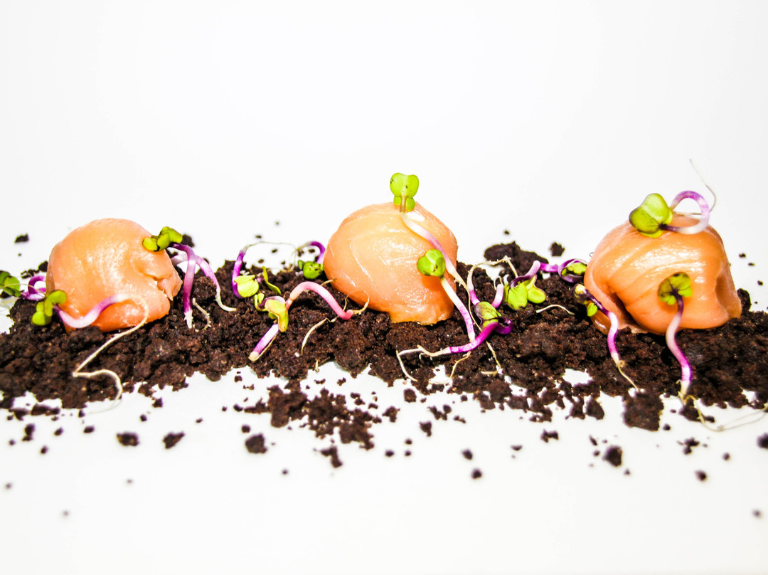 Core by Clare Smyth