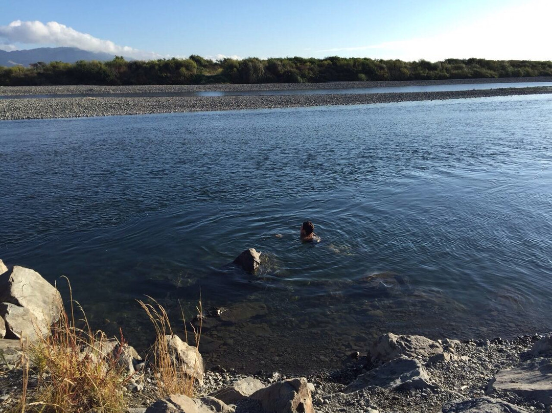 Otaki River Walks景点图片