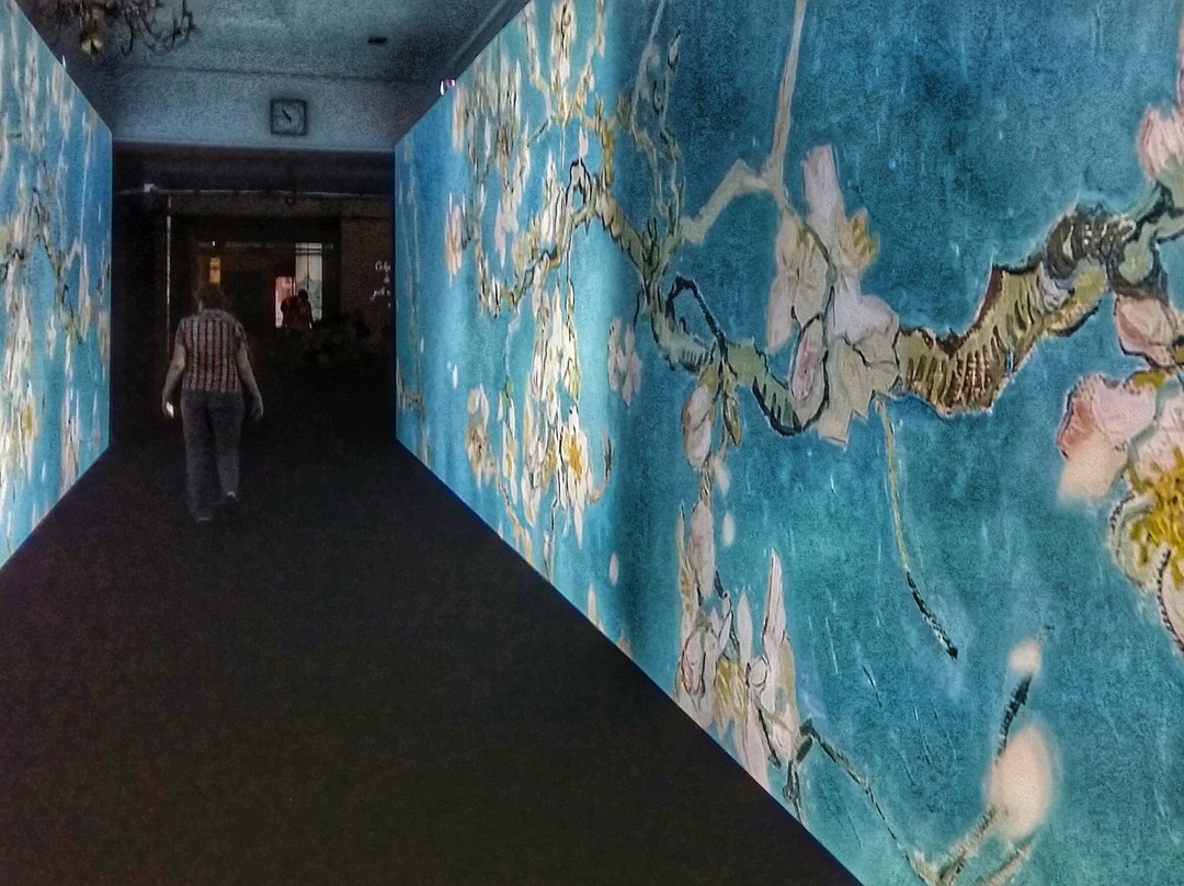 Van Gogh Alive - The Experience-克拉科夫必去景点