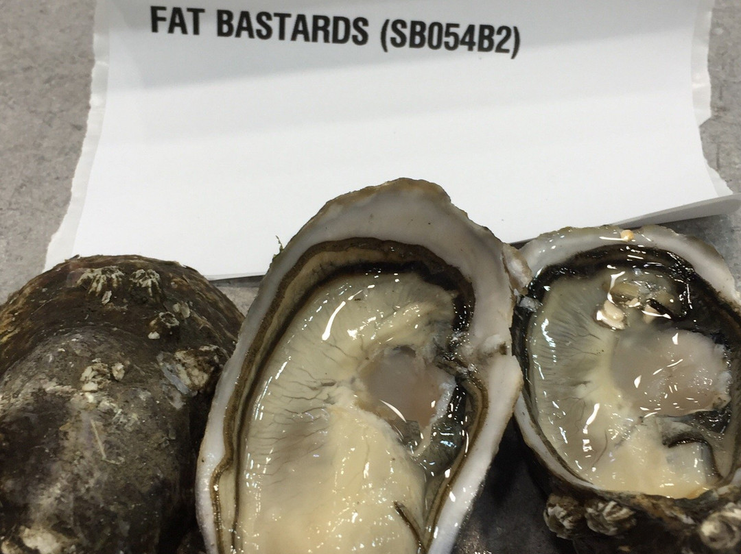 Taylors Shellfish Farm景点图片
